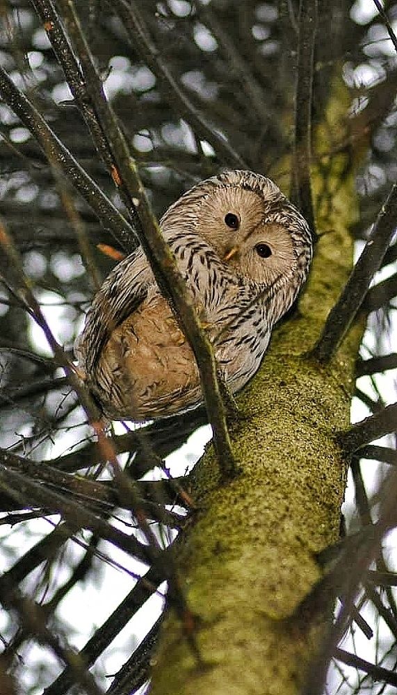 Photograph by Алексей Фомичев