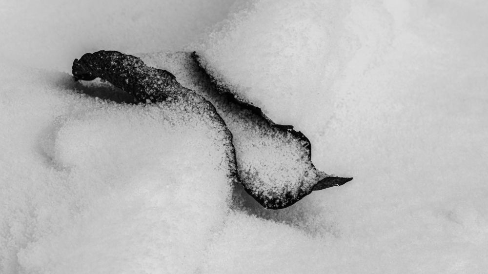 Photograph by Андрей Иванов