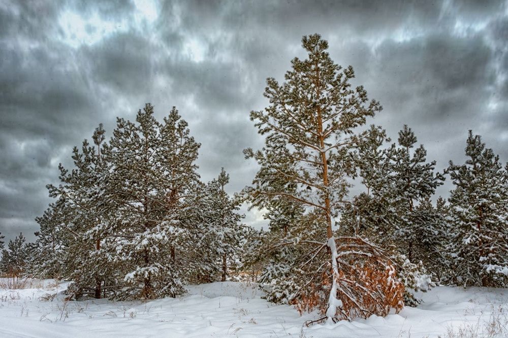 Photograph by Олег Белан