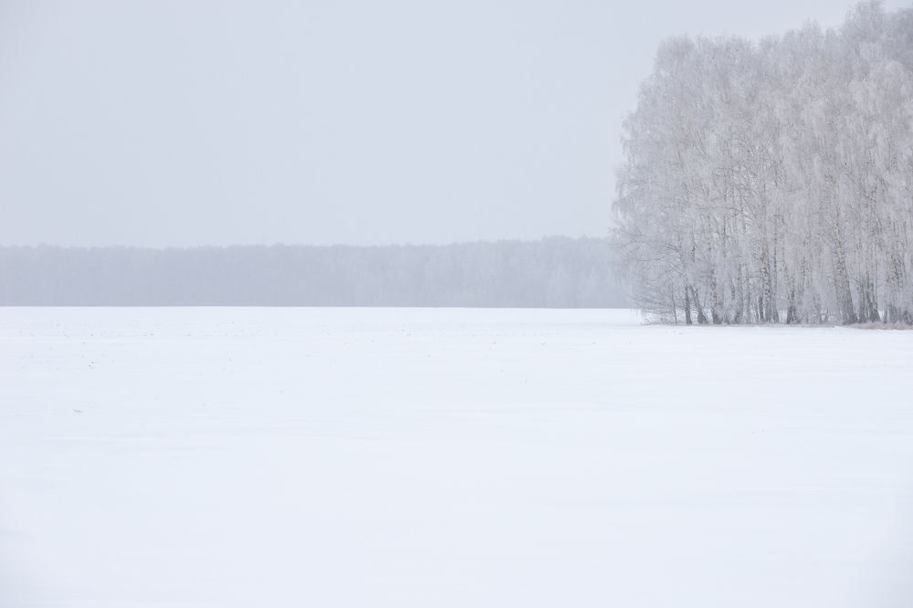 Photograph by Дмитрий Чудинин
