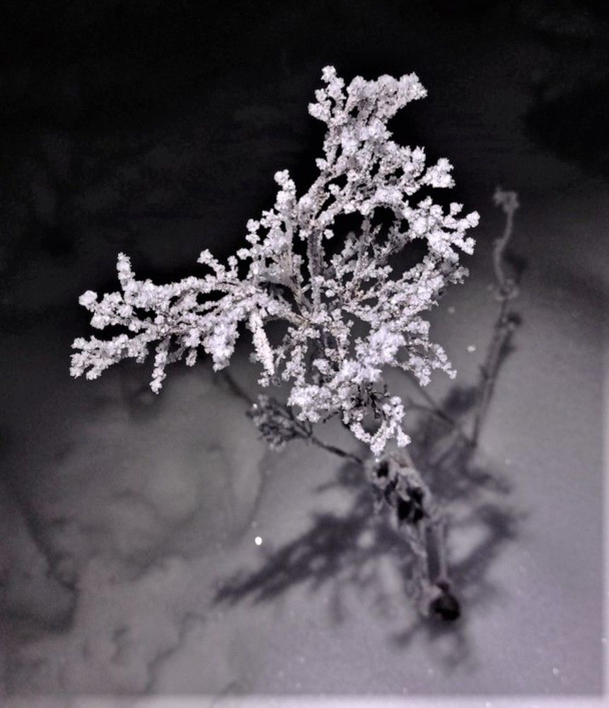 Photograph by Екатерина Апрелева