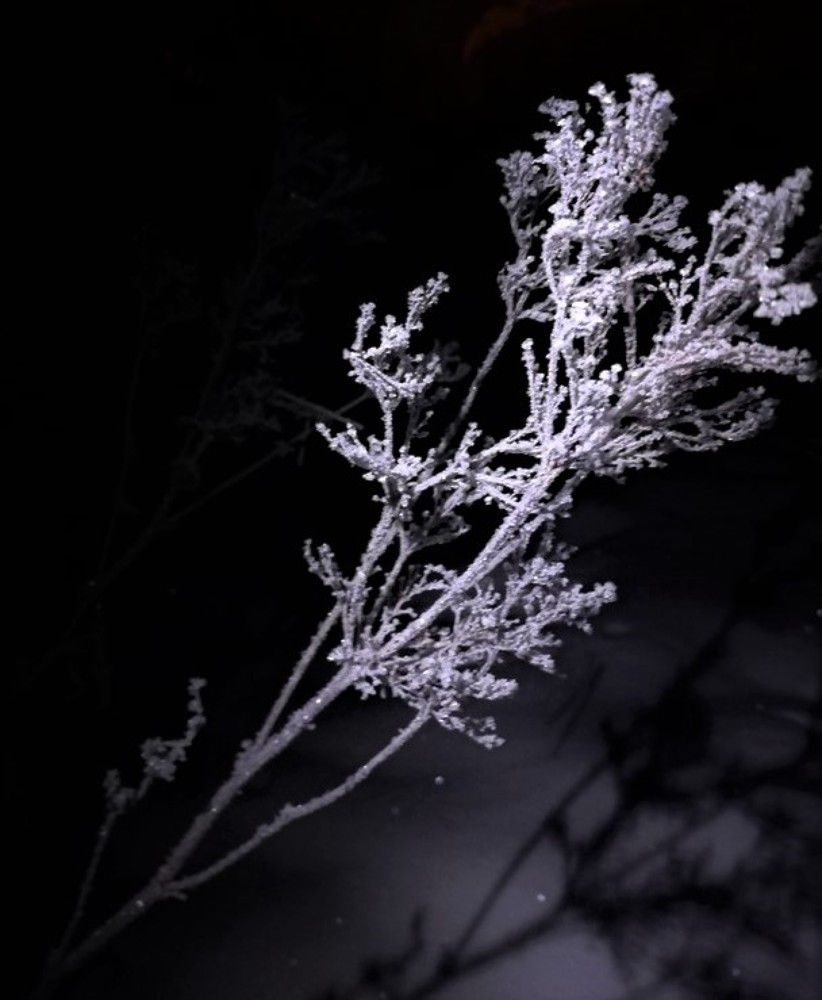 Photograph by Екатерина Апрелева