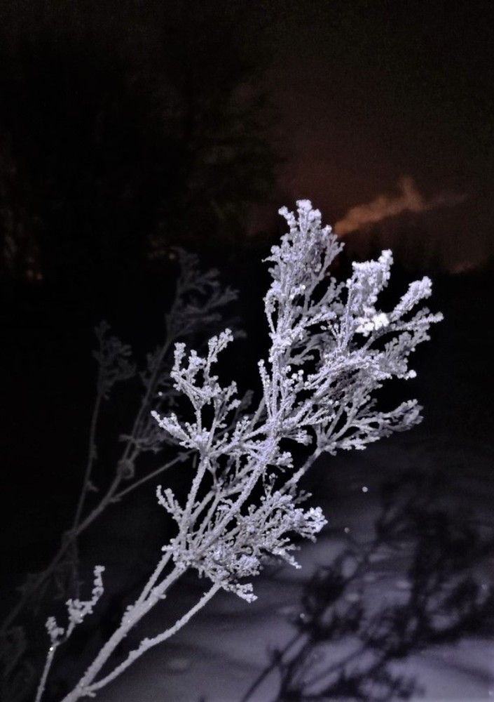 В Погоне За Прекрасным...