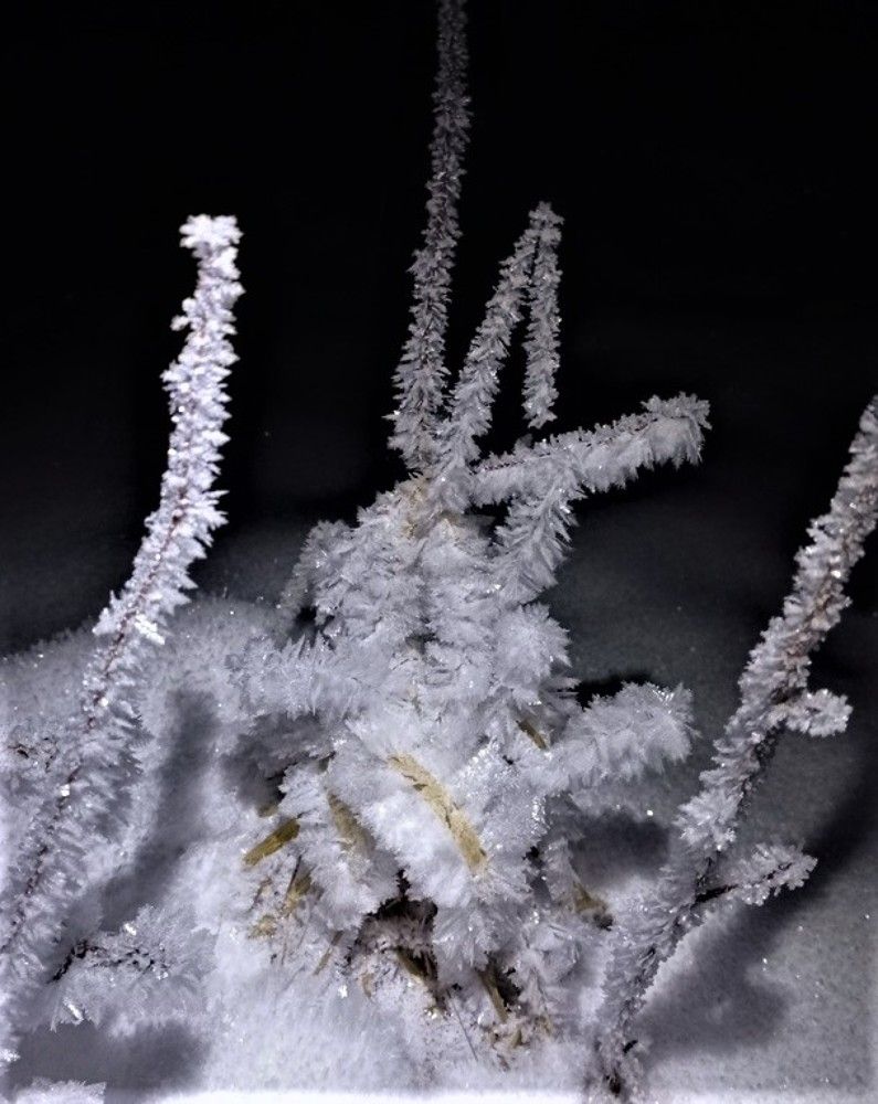 Photograph by Екатерина Апрелева