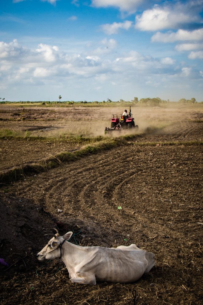 Photograph by Diluckshan Puviraj