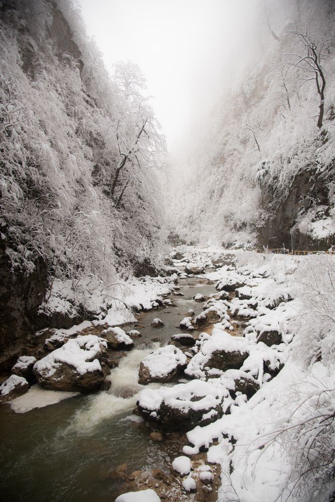 Photograph by Михаил Кравченко