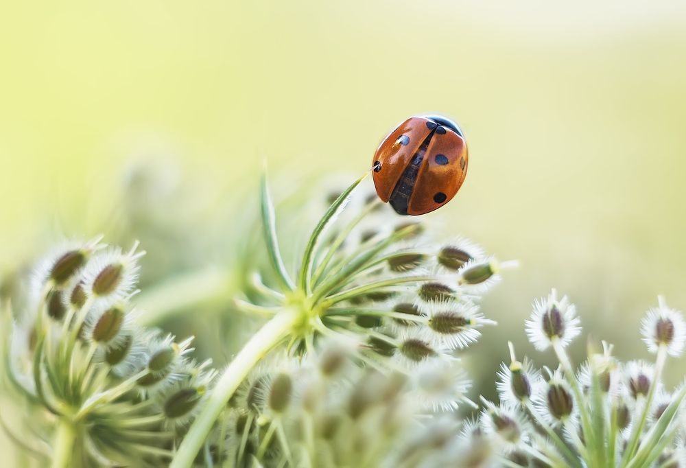 Photograph by Полина Васеева