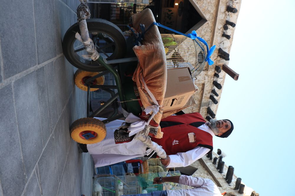 Photograph by Chaitanya sravanthi Vutukuru