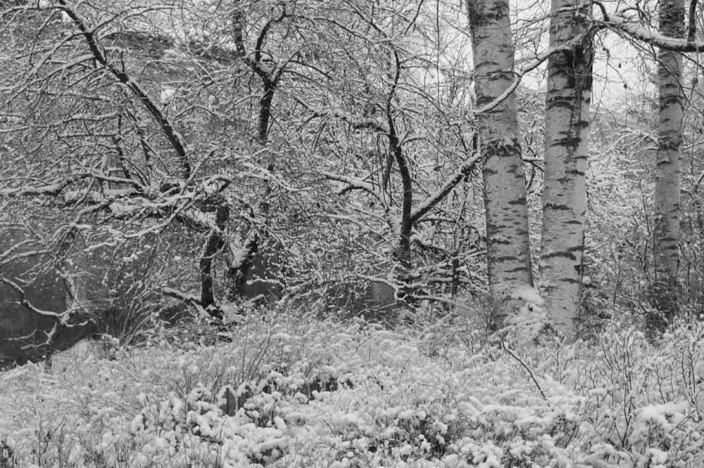 Photograph by БЕРТЕЛЬС ВАСИЛИЙ