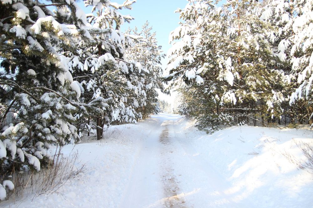 Photograph by Наталья Рыкова