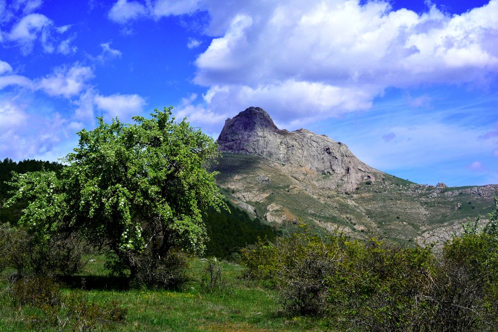 Photograph by Муза Латинская