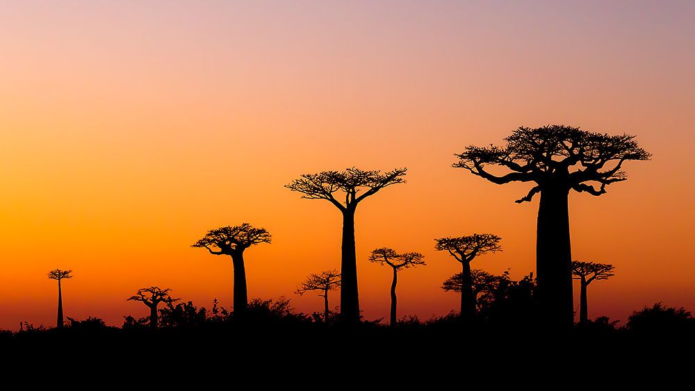 Photograph by Сергей Савви