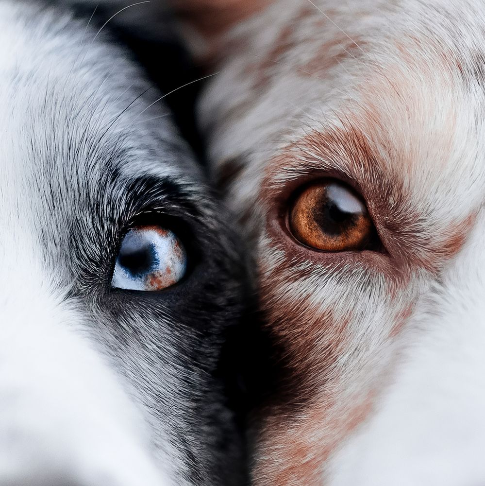 Photograph by Ve Shandor