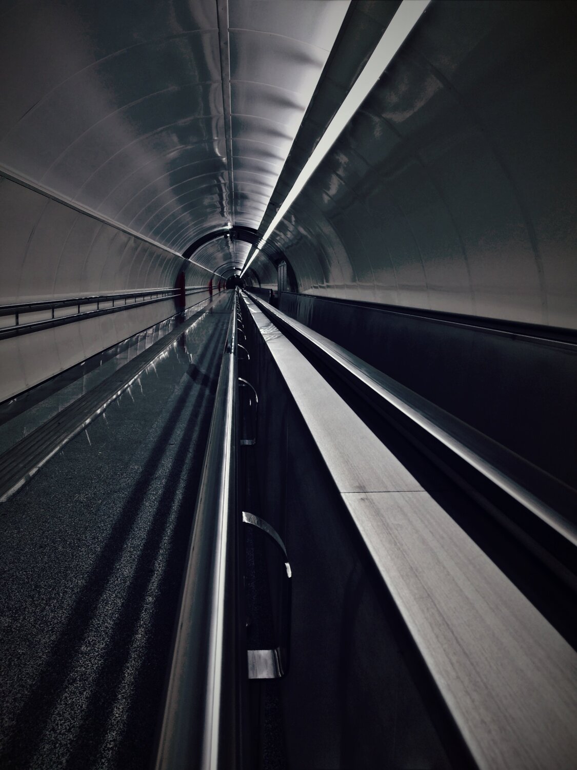Photo #5568155