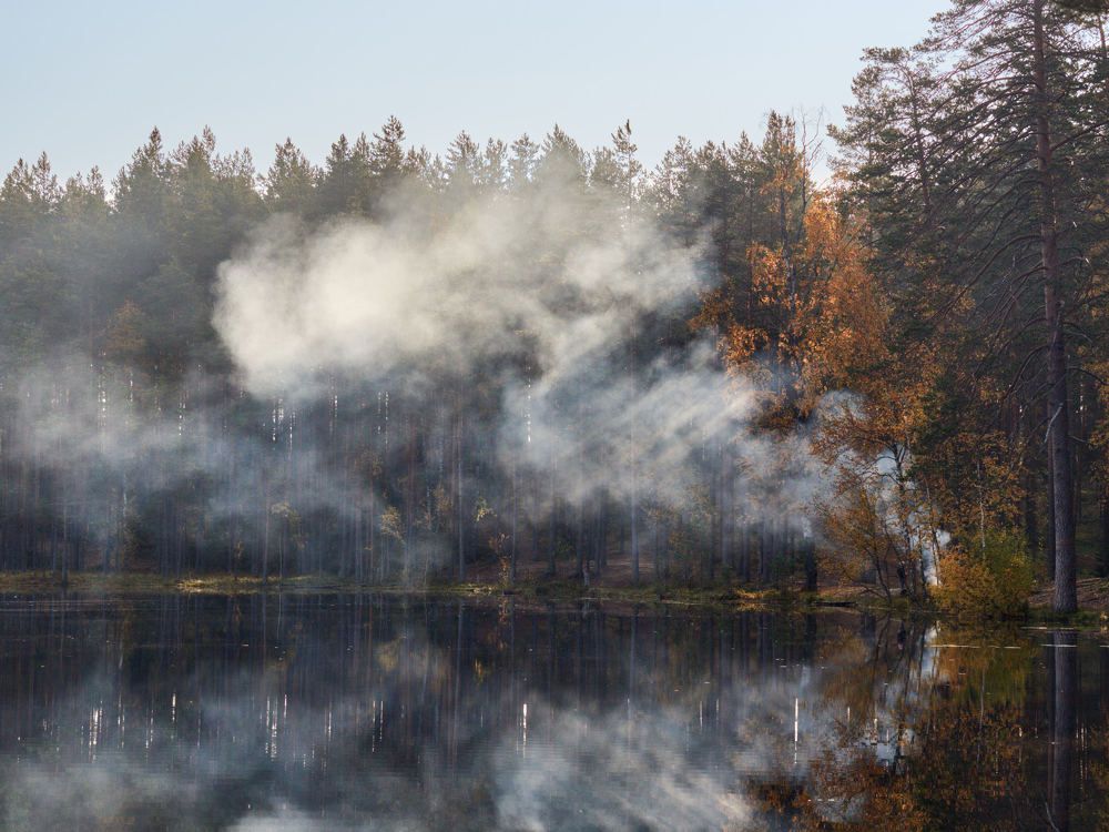Photograph by Александр Авдушев