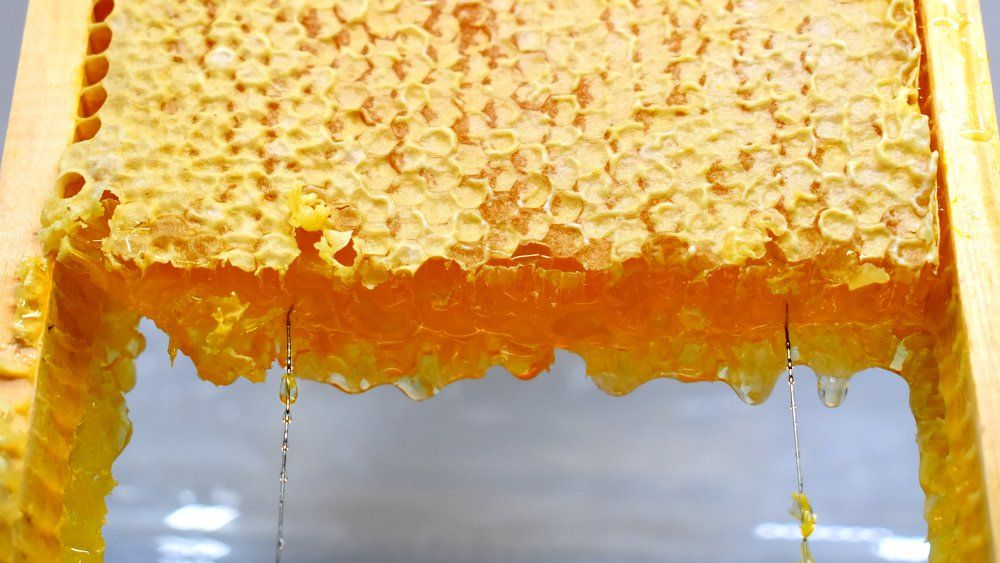 Рамочка с медом