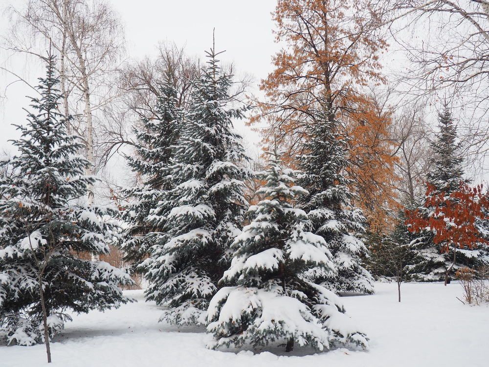 Photograph by Elena Khalizova