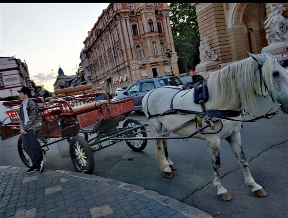Photograph by Анна Гросу