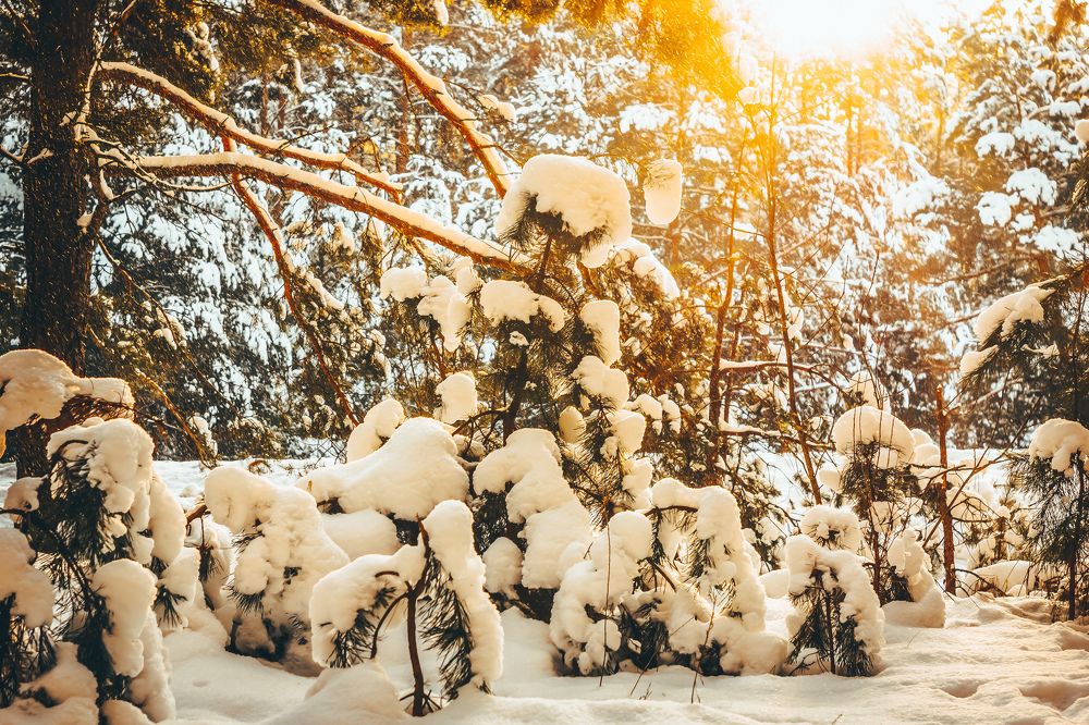 Photograph by Александр Казак