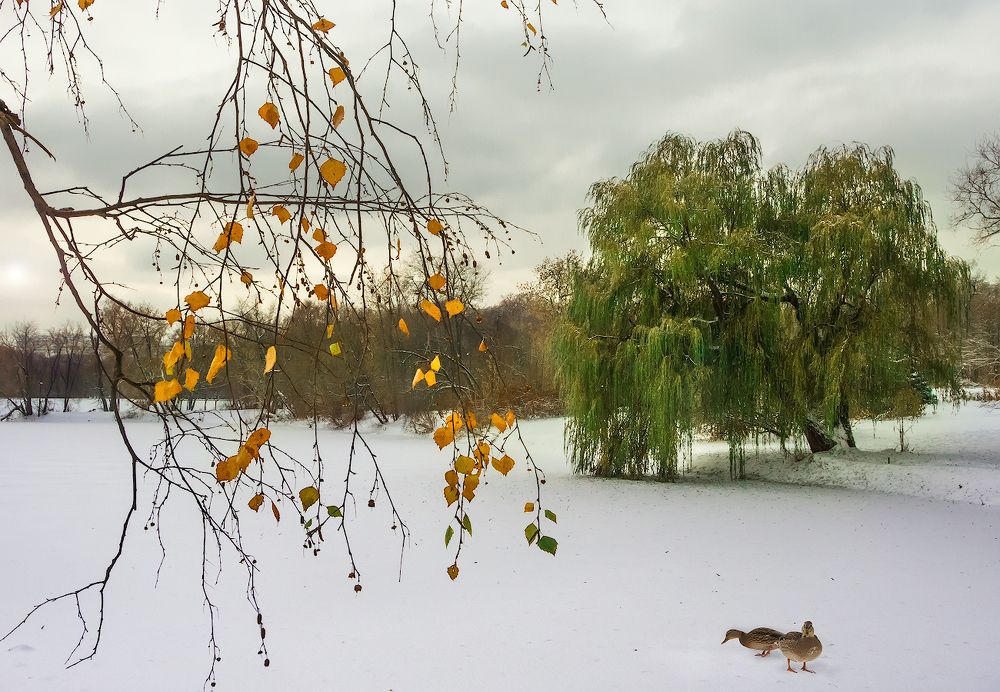 Photograph by Валерий Анисимов