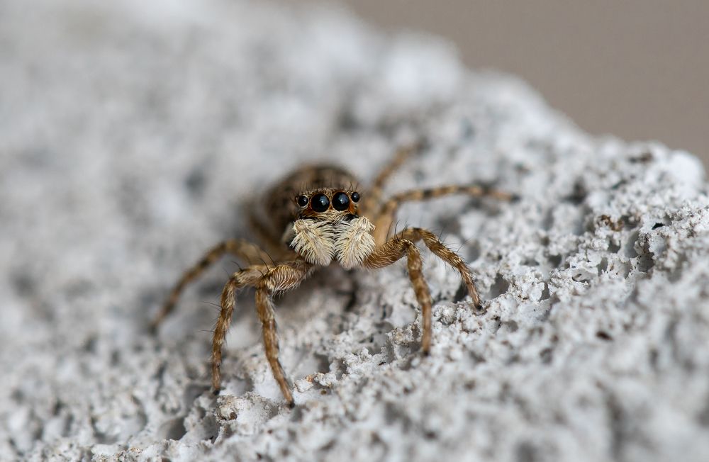 Photograph by Каролина Дидур