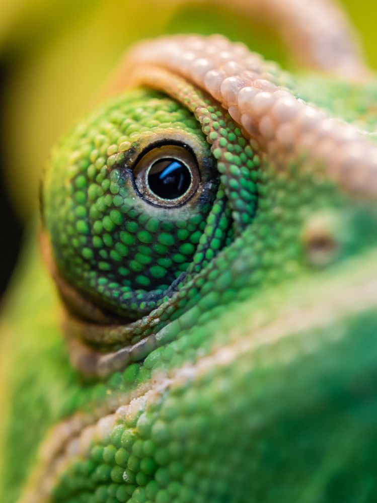 Photograph by Ольга Линк