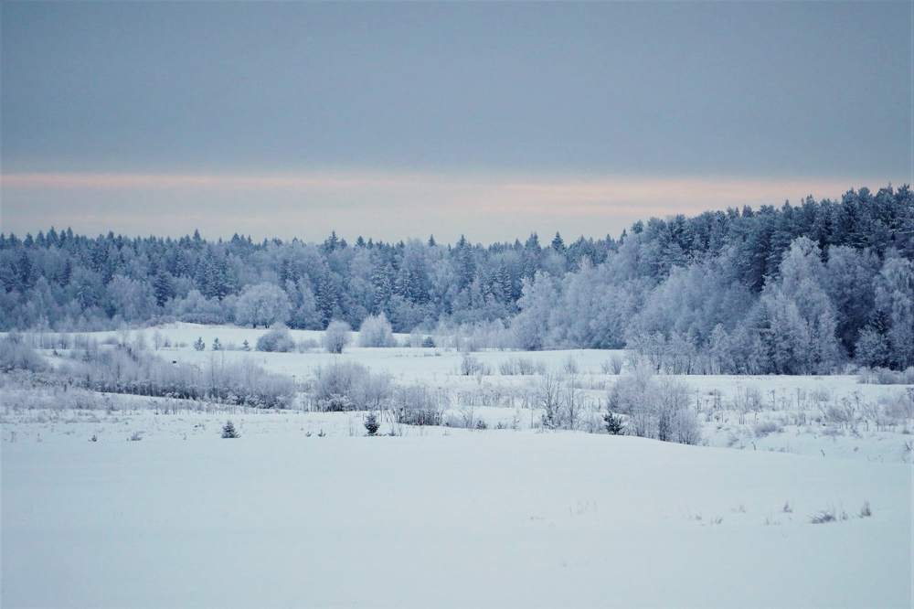 Photograph by Марина Безенкина