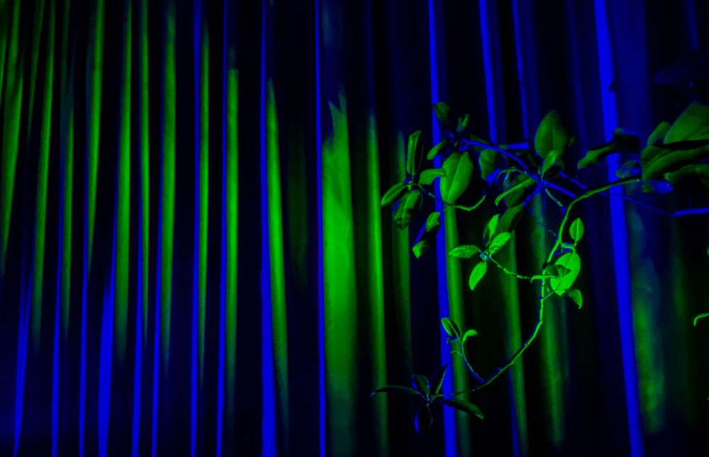 Photograph by Сергей Марченков