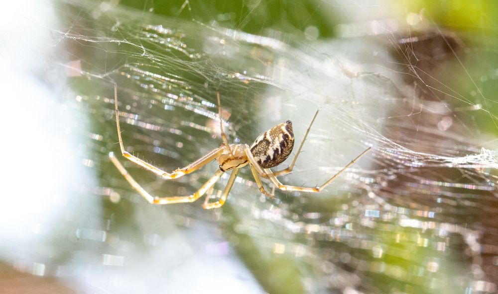 Photograph by Каролина Дидур