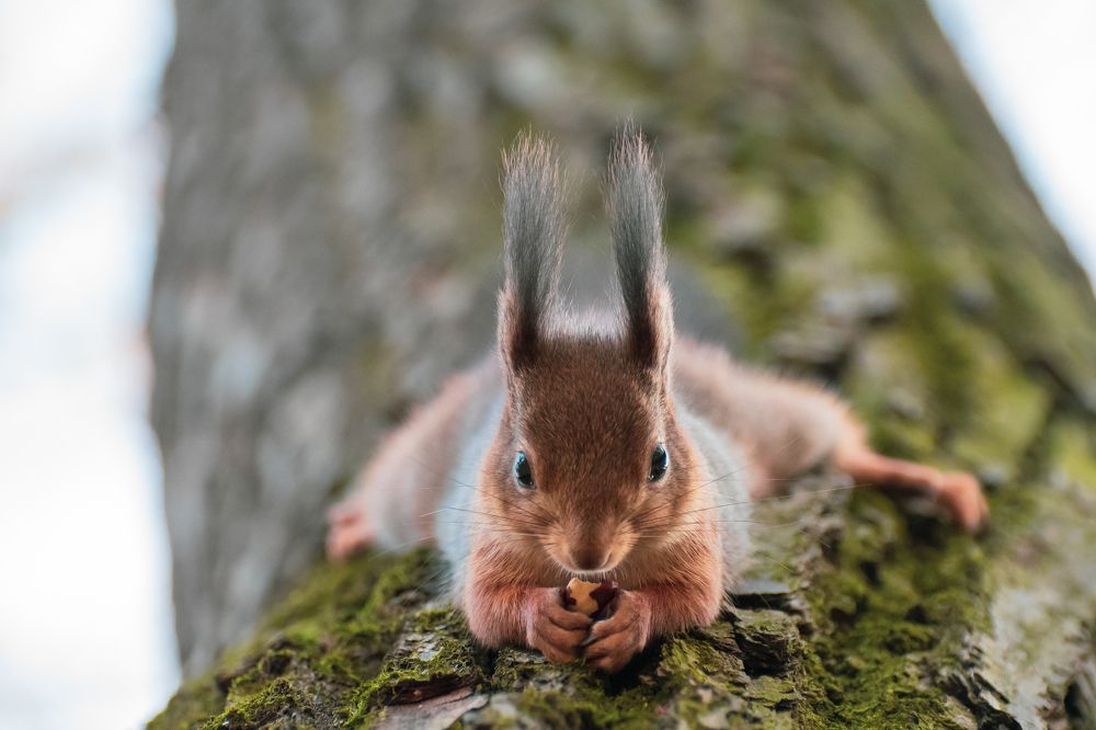 Photograph by Светлана