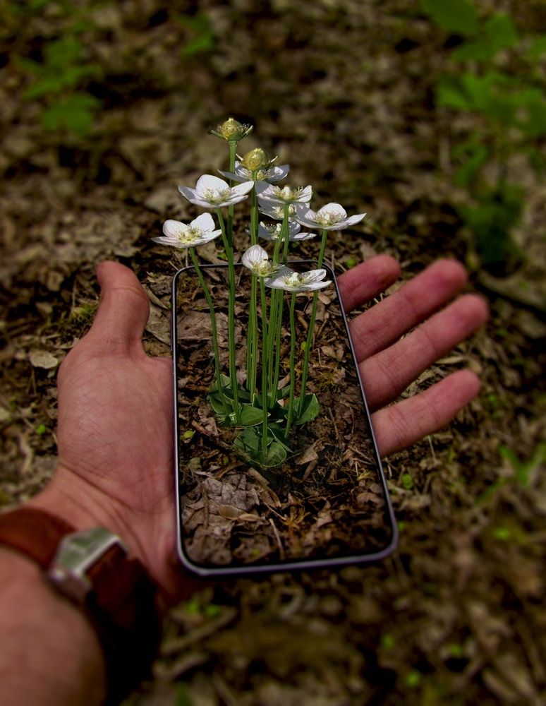 Photograph by Илья Юхнов