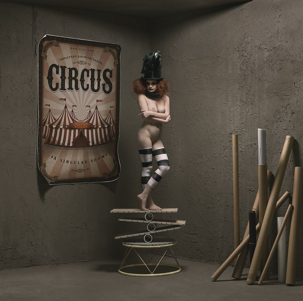 CIRCUS-LIAMA