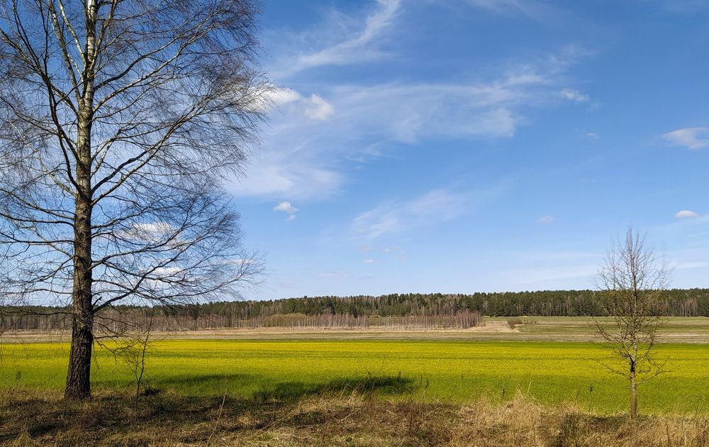Photograph by Веда Горнистова