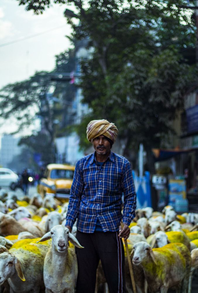 Photograph by Subhasis Paul