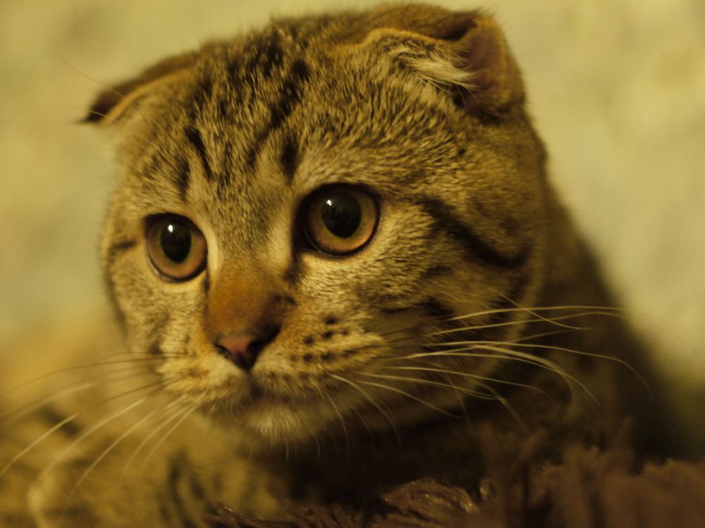 Photograph by Иван Скрипкин