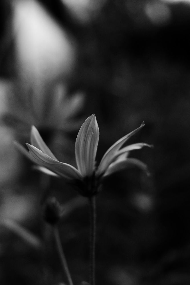 Photograph by Наталья Шмелева