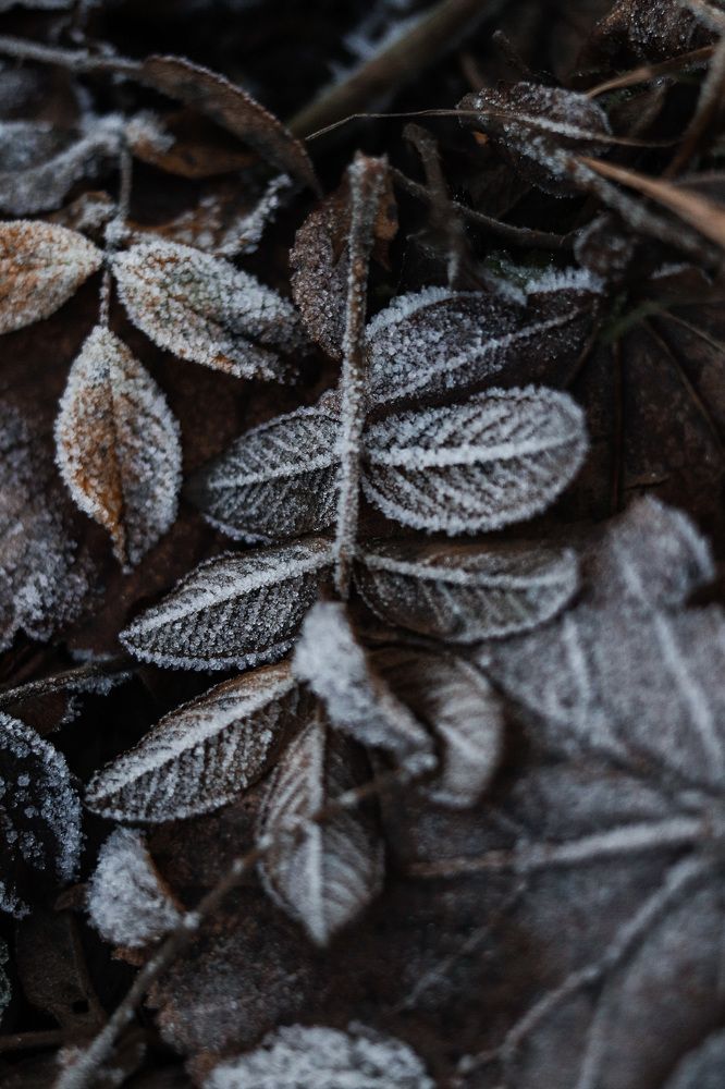 Photograph by Наталья Шмелева