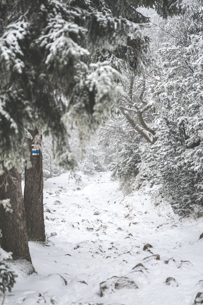 Photograph by Yuliia Pashentseva