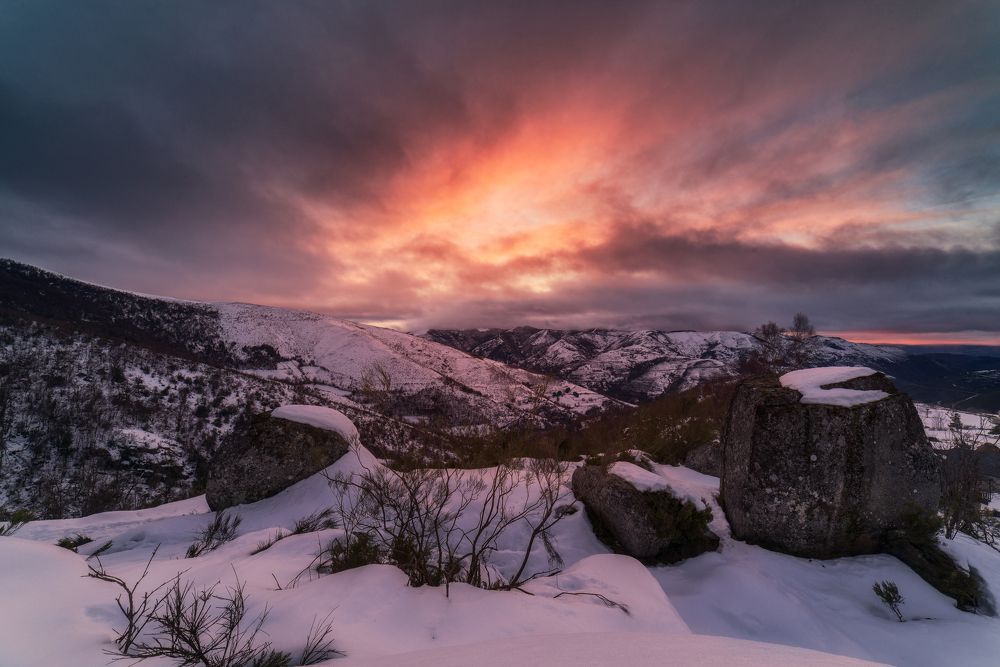 Photograph by Damian Varela