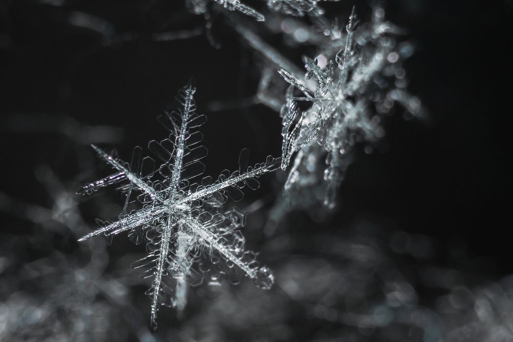 Photograph by Анастасия Киселева