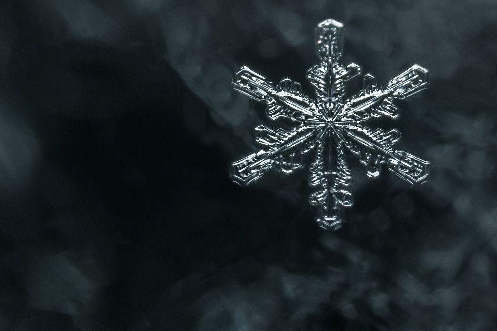 Photograph by Анастасия Киселева