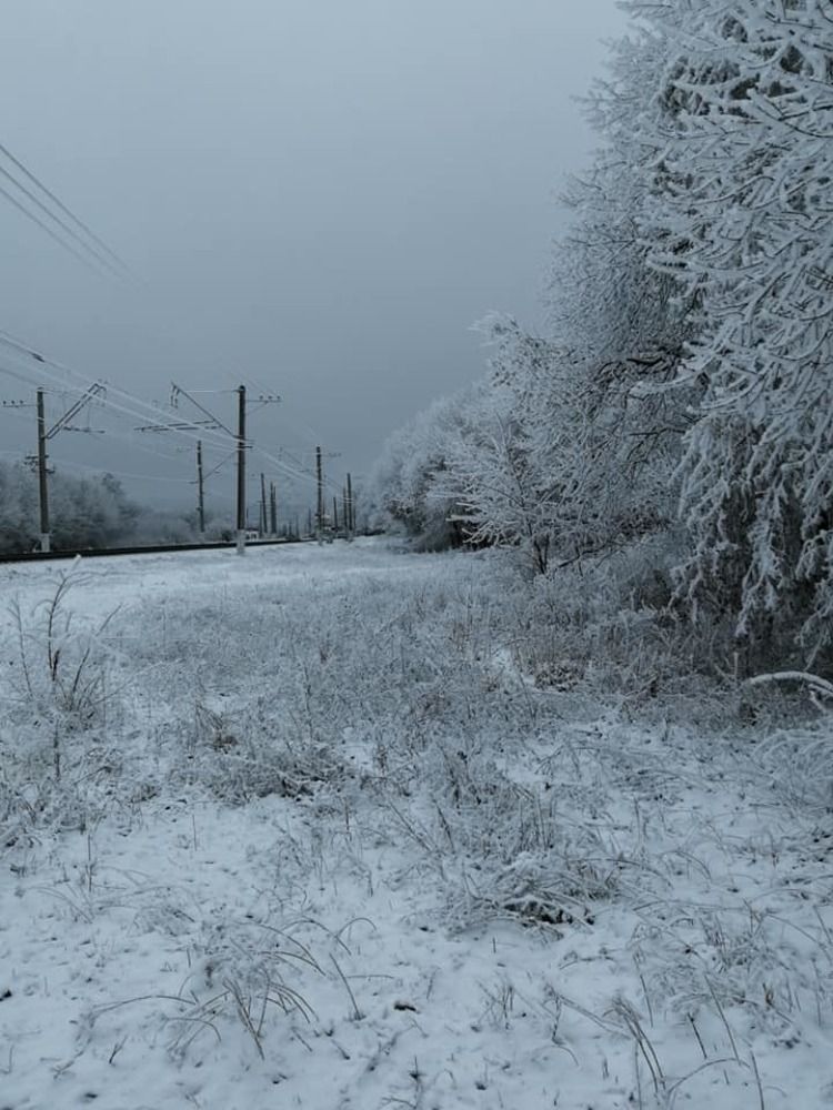 Photograph by Мила