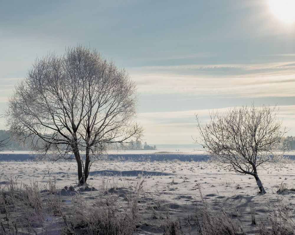 Photograph by Александр Арефьев