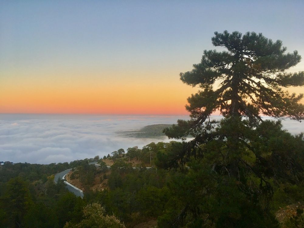 Photograph by Евгения Ципрук