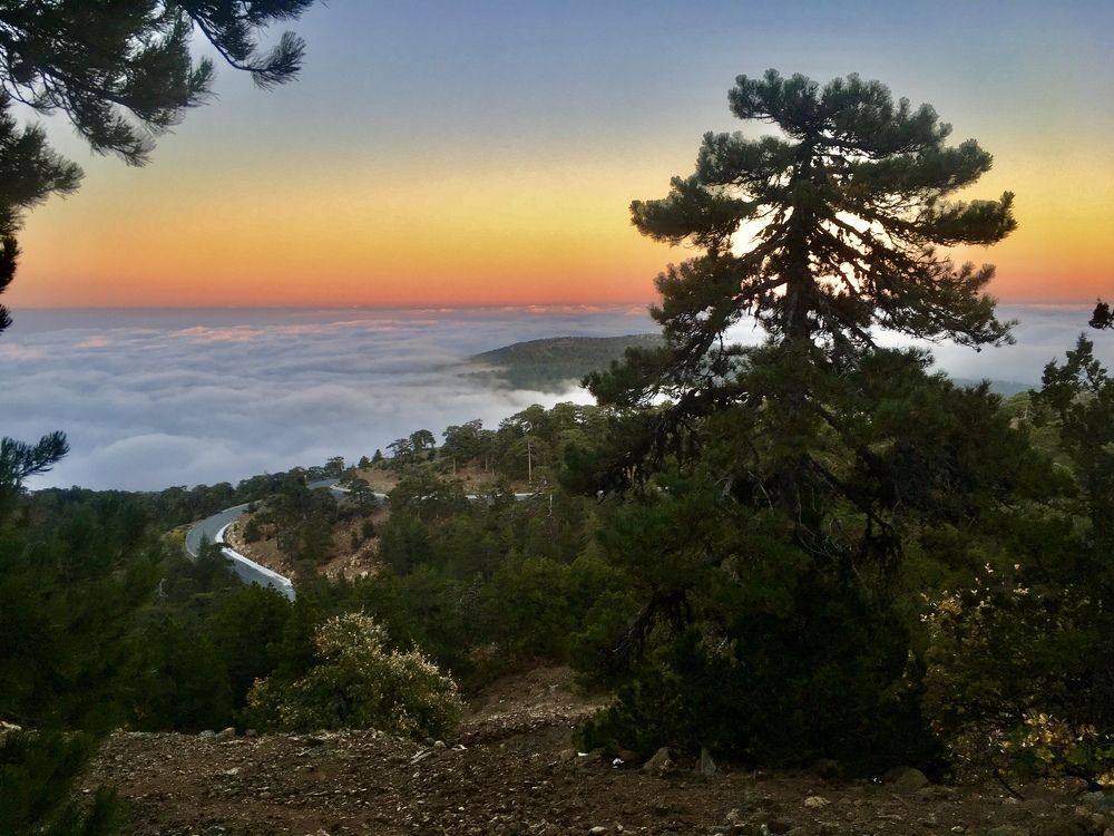 Photograph by Евгения Ципрук