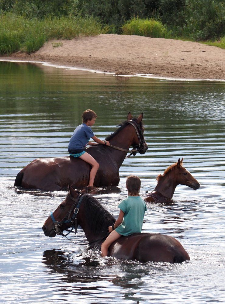Photograph by Екатерина Шмелева