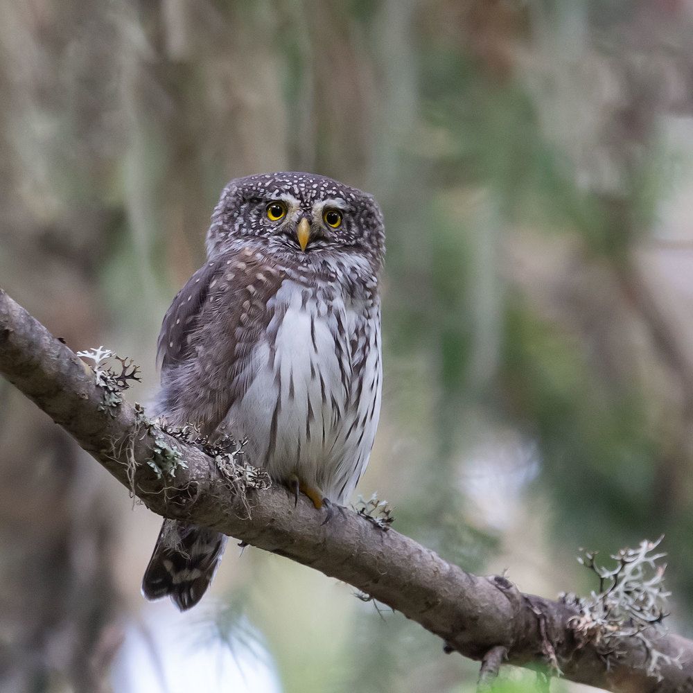 Photograph by Petya Petkova