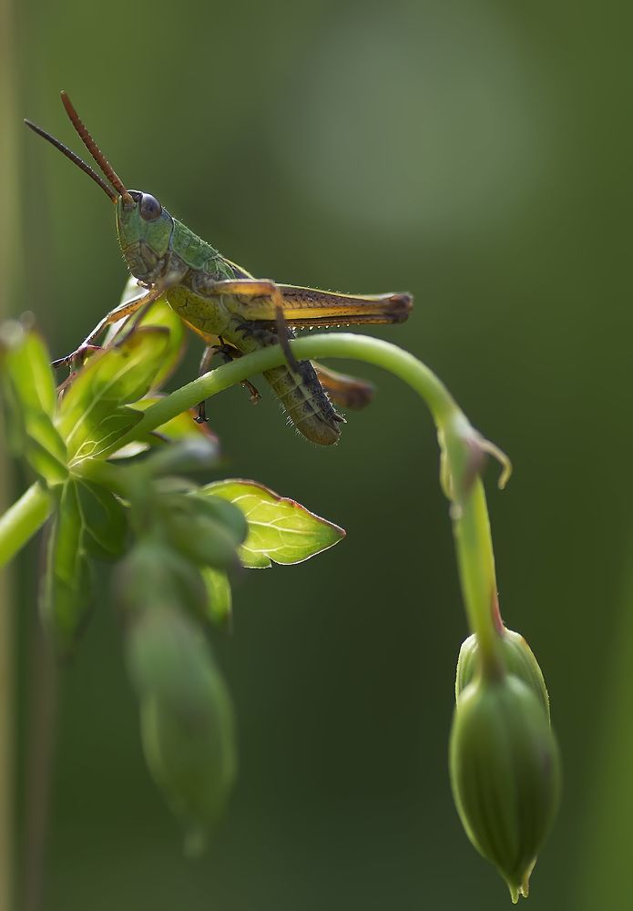 Photograph by Полина Васеева