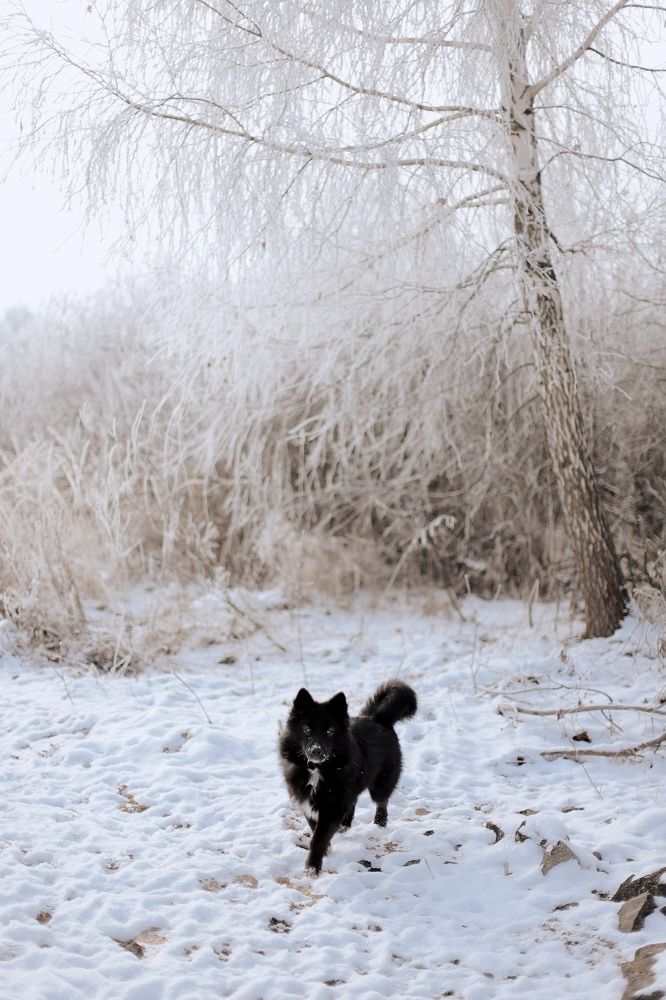 Photograph by Аида Фай