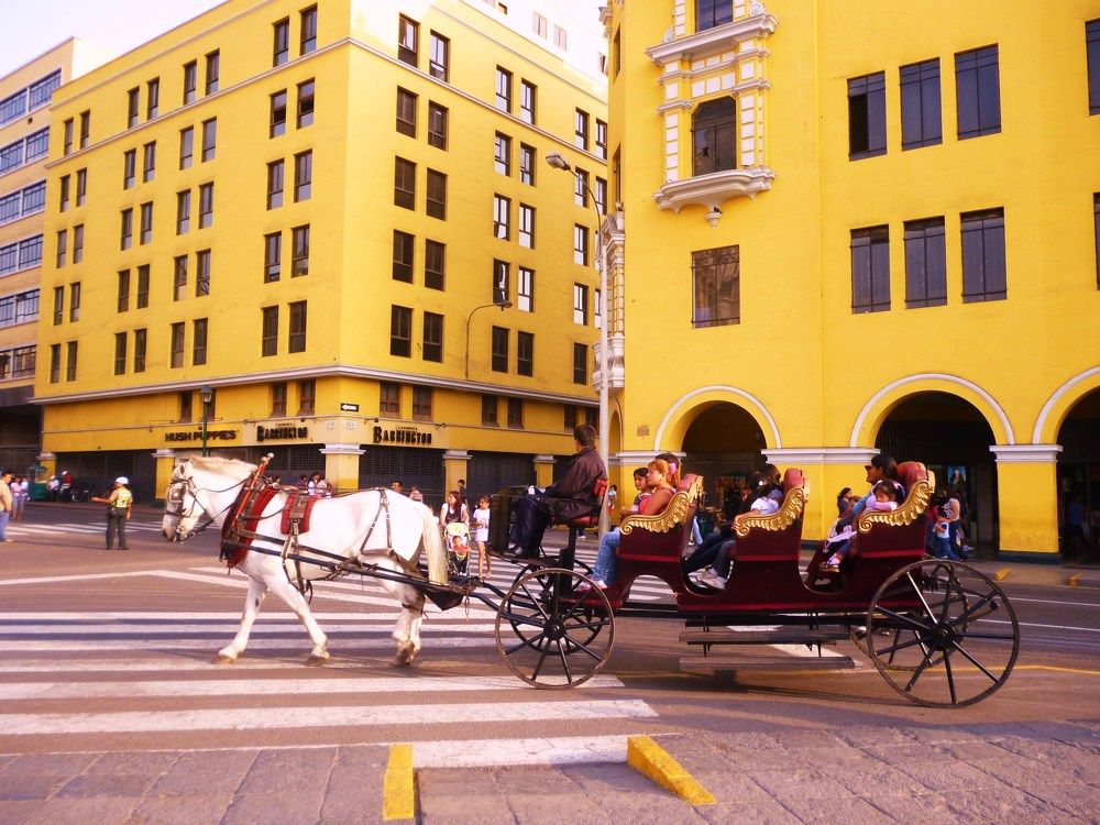 Фотография автора Chavez Sixto